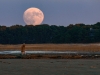 Moonrise over oyster flats at Blackfish Creek, Wellfleet, Massachusetts